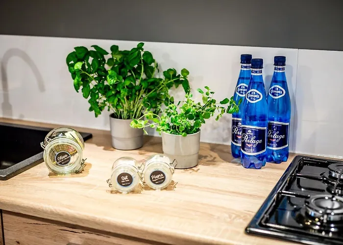 Apartment Nowoczesny Przy Rynku We Wroclawiu By Rent Like *